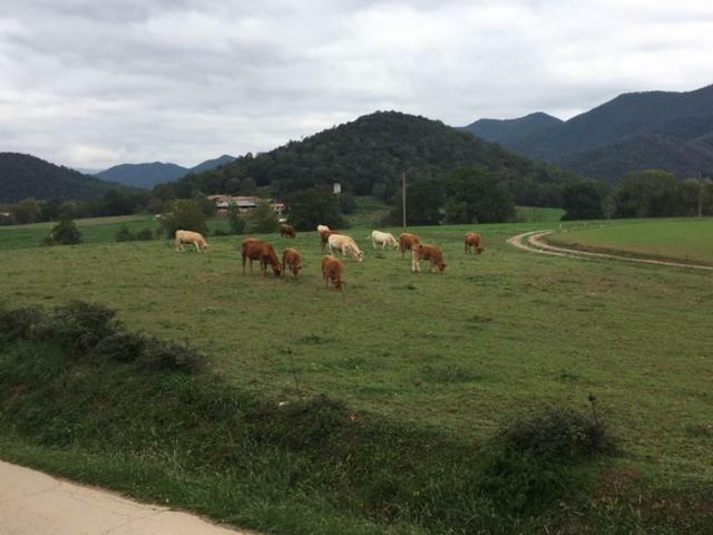 Casa Can Boix La Vall de Bianya Luaran gambar