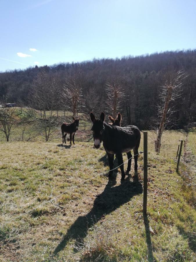 Casa Can Boix La Vall de Bianya Luaran gambar