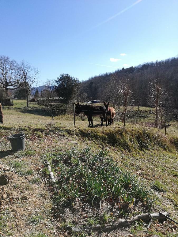 Casa Can Boix La Vall de Bianya Luaran gambar